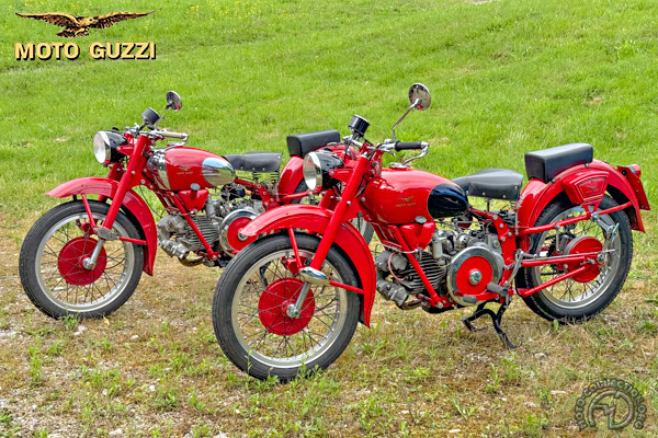 Moto Guzzi D2-492-100-56